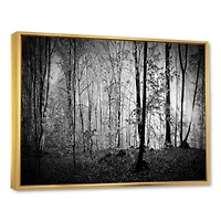 Beautiful Forest Morning Panorama  Canvas Art Print