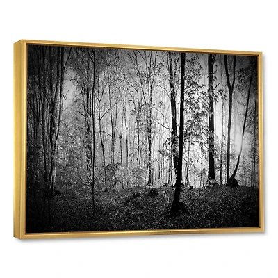 Beautiful Forest Morning Panorama  Canvas Art Print