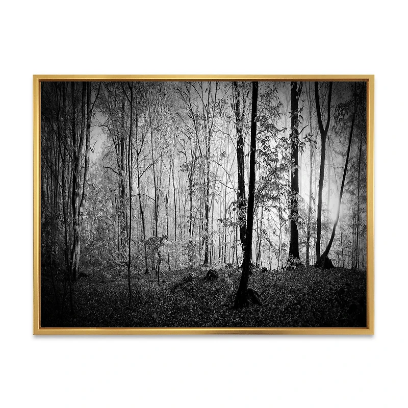 Beautiful Forest Morning Panorama Canvas Art Print