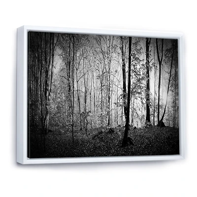 Beautiful Forest Morning Panorama Canvas Art Print