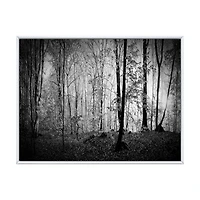 Beautiful Forest Morning Panorama  Canvas Art Print