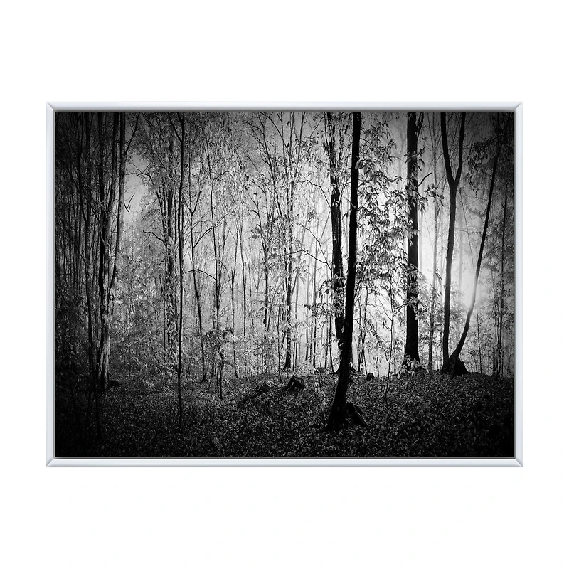 Beautiful Forest Morning Panorama  Canvas Art Print