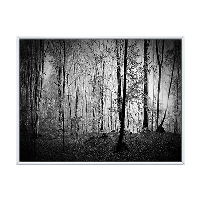 Beautiful Forest Morning Panorama Canvas Art Print