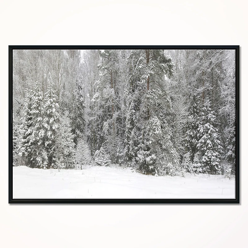 Foggy Winter Forest Panorama  Wall Art