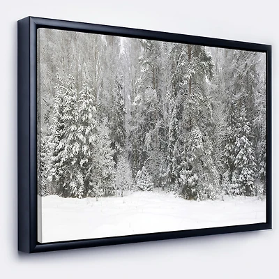 Foggy Winter Forest Panorama  Wall Art