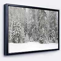 Foggy Winter Forest Panorama  Wall Art