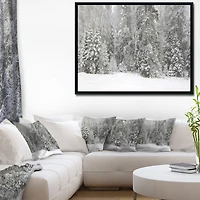 Foggy Winter Forest Panorama  Wall Art