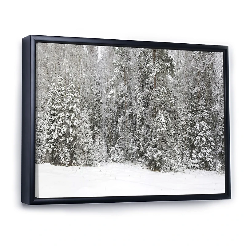 Foggy Winter Forest Panorama  Wall Art