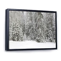 Foggy Winter Forest Panorama  Wall Art