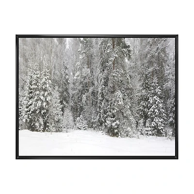 Foggy Winter Forest Panorama  Wall Art