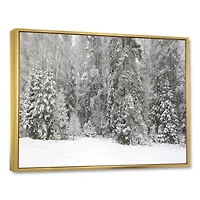 Foggy Winter Forest Panorama  Wall Art