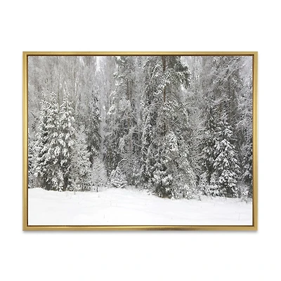 Foggy Winter Forest Panorama Wall Art