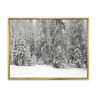 Foggy Winter Forest Panorama  Wall Art