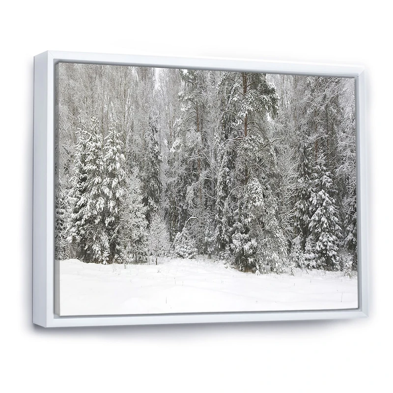 Foggy Winter Forest Panorama  Wall Art
