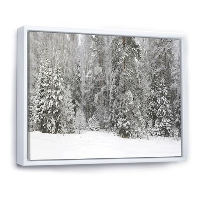 Foggy Winter Forest Panorama  Wall Art
