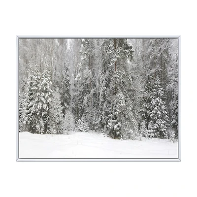 Foggy Winter Forest Panorama  Wall Art