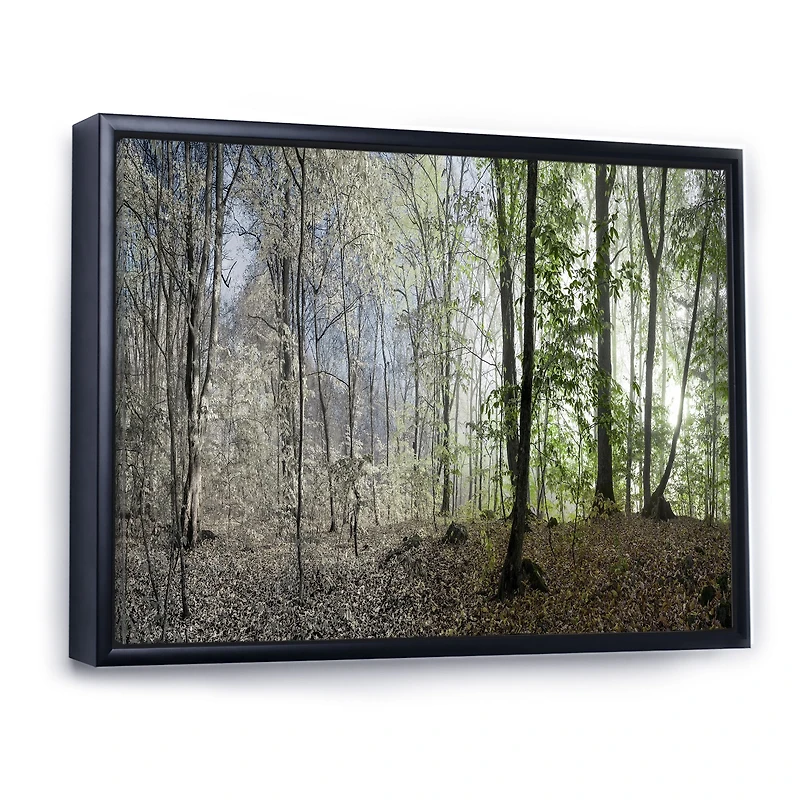 Green Morning Forest Panorama  Canvas Art Print