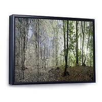Green Morning Forest Panorama  Canvas Art Print