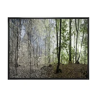 Green Morning Forest Panorama  Canvas Art Print