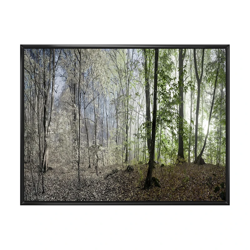 Green Morning Forest Panorama  Canvas Art Print