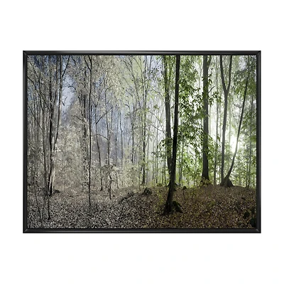 Green Morning Forest Panorama  Canvas Art Print