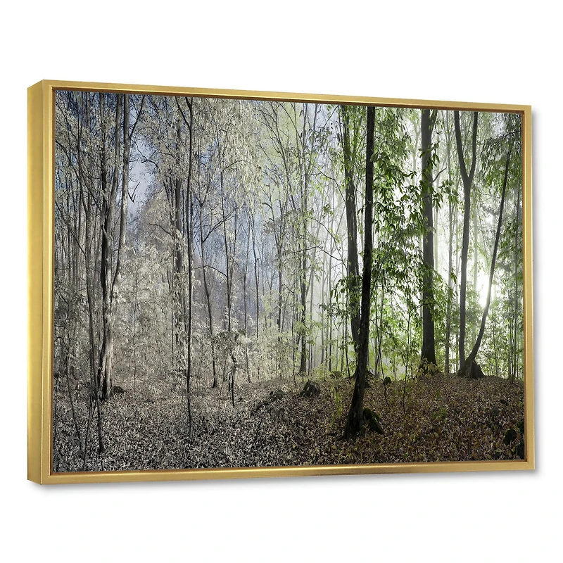 Green Morning Forest Panorama  Canvas Art Print