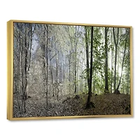 Green Morning Forest Panorama  Canvas Art Print