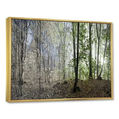 Toile imprimée « Green Morning Forest Panorama »