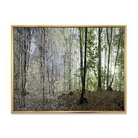 Green Morning Forest Panorama  Canvas Art Print