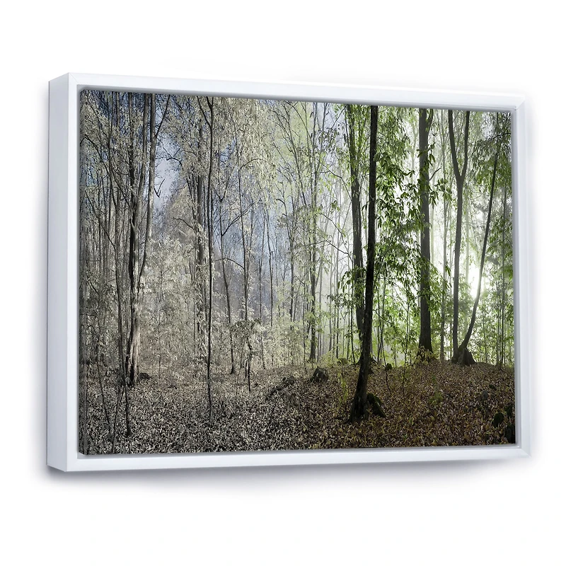 Green Morning Forest Panorama  Canvas Art Print