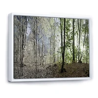 Green Morning Forest Panorama  Canvas Art Print