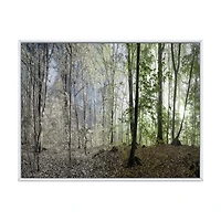 Green Morning Forest Panorama  Canvas Art Print