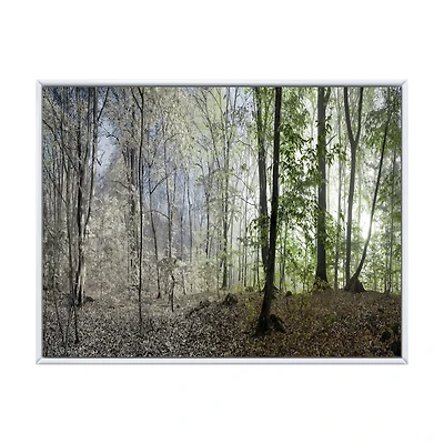 Toile imprimée « Green Morning Forest Panorama »