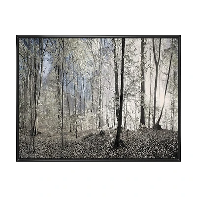 Dark Morning Forest Panorama Canvas Wall Art Print