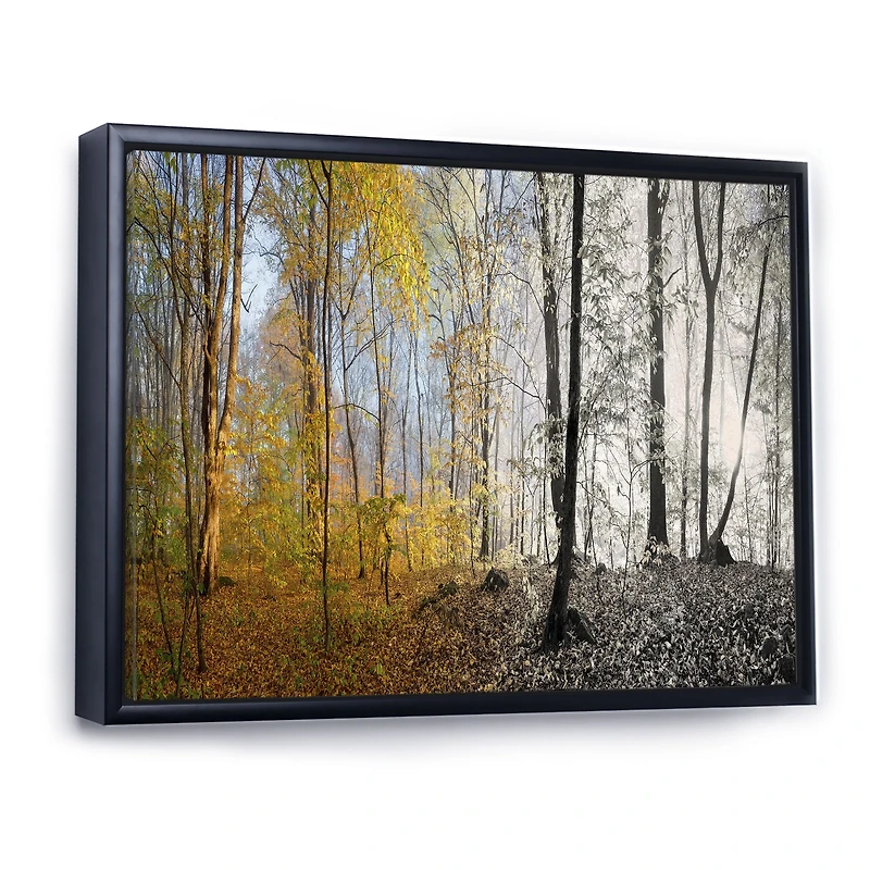 Yellow Morning Forest Panorama Canvas Art Print
