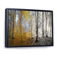 Yellow Morning Forest Panorama Canvas Art Print