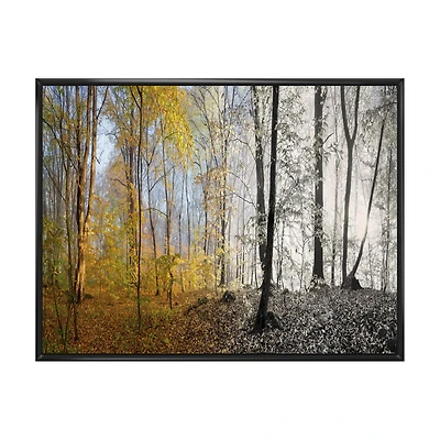 Morning Forest Panorama Canvas Art Print