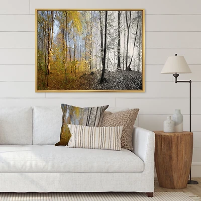 Toile imprimée « Yellow Morning Forest Panorama »