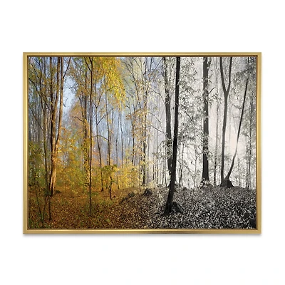 Toile imprimée « Yellow Morning Forest Panorama »
