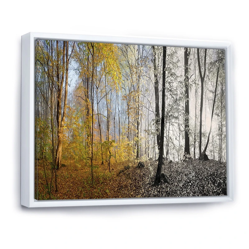 Toile imprimée « Yellow Morning Forest Panorama »