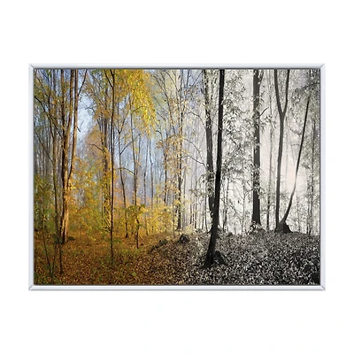 Toile imprimée « Yellow Morning Forest Panorama »