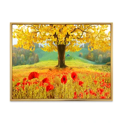 Beautiful Autumn Yellow Tree  Wall Art