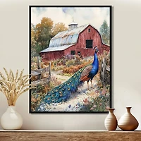 Farmyard Peacock – Vibrant Garden Elegance