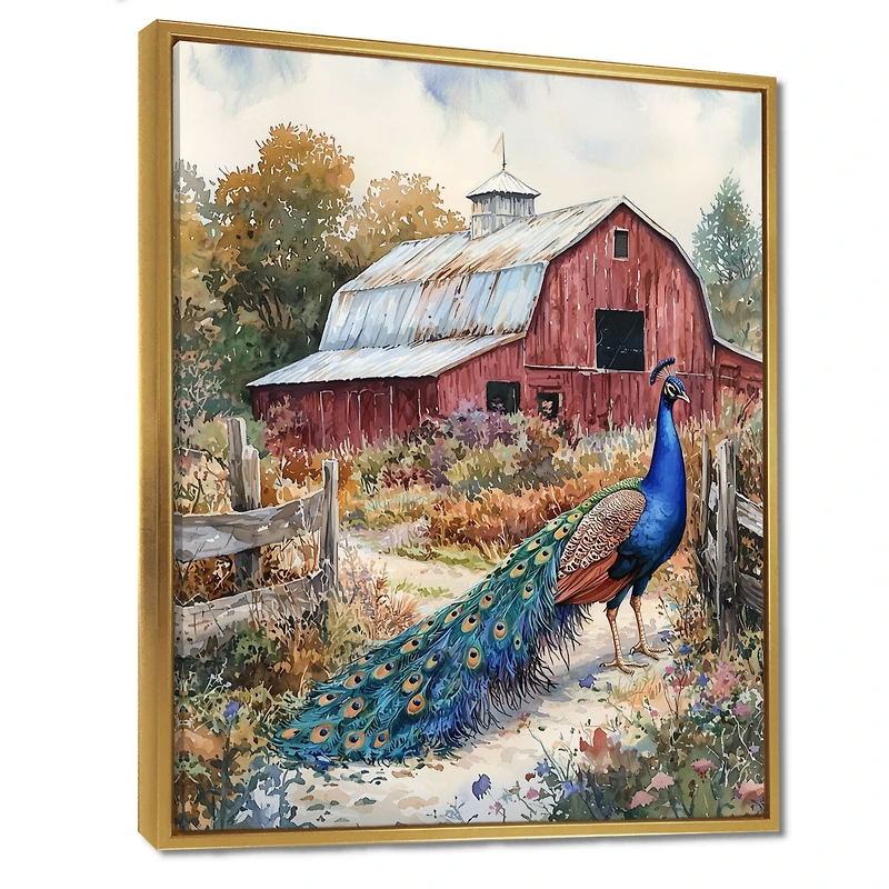 Farmyard Peacock – Vibrant Garden Elegance