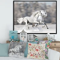 Two White Horse  Wall Art Canvas