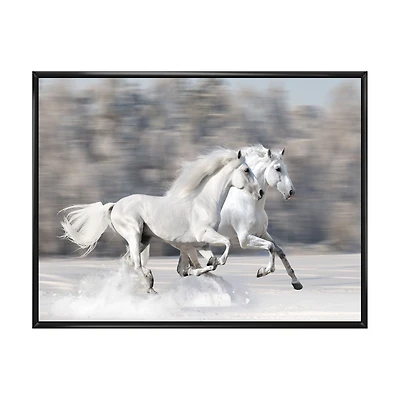 Two White Horse Wall Art Canvas