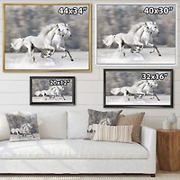 Two White Horse  Wall Art Canvas
