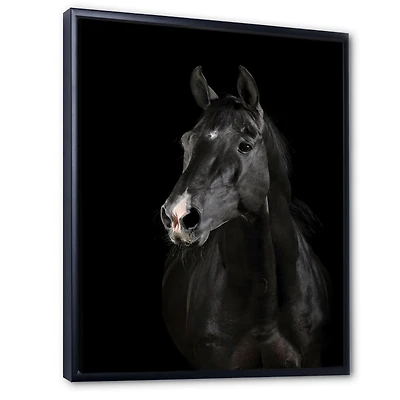 Black Horse darkness  Canvas