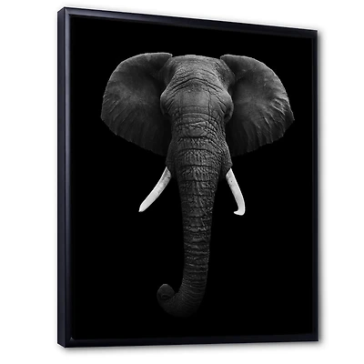 African Elephant  Wall Art