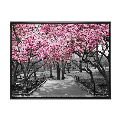 Cherry Blossoms Canvas Wall Art